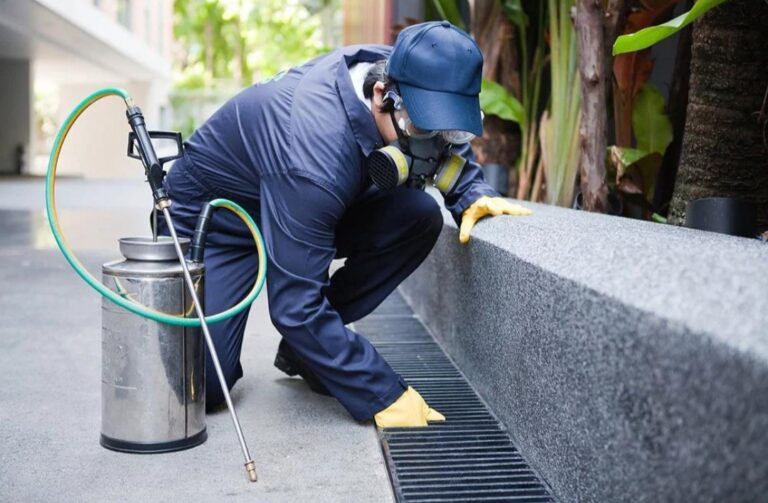 Commercial Pest Control Pune