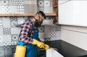 Residential Pest Control Pune